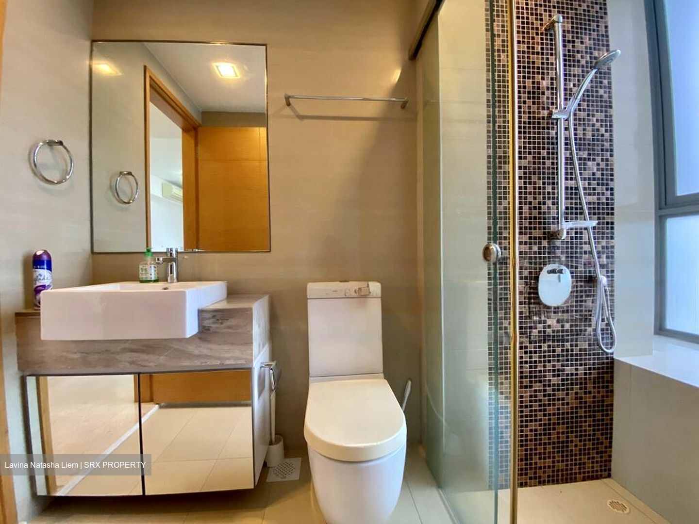 Angullia Park Residences @ Orchard (D10), Apartment #474369471